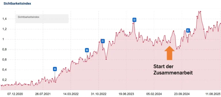 SEO Projekt Internationaler Online Shop