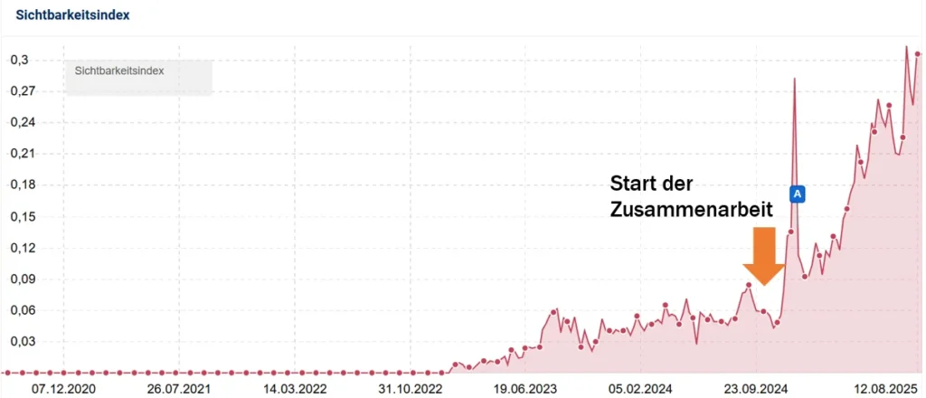 SEO-Projekt - Saas Untternehmen