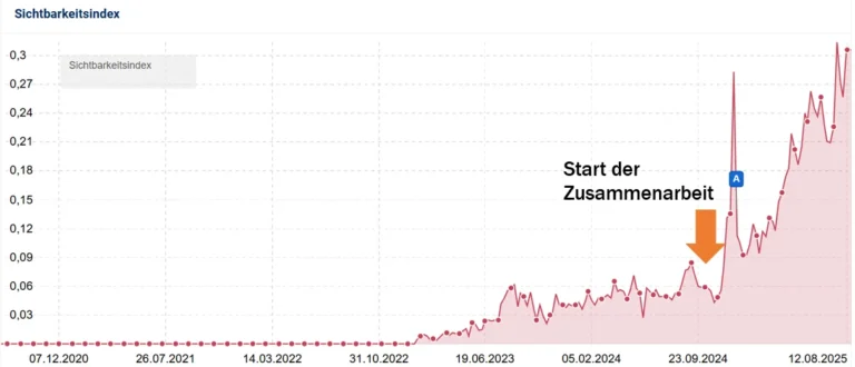 SEO-Projekt - Saas Untternehmen